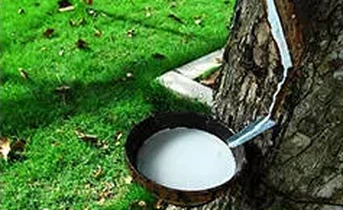 QQ20250422-111811 QQ20250422-111811